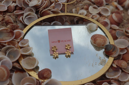 EARINGS